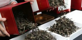 China Tea Pu'er Tea Research & Study Institution (Zhengzhou Center): The First Advanced Training Courses Drawing to A Successful Close