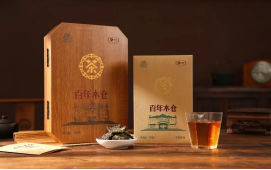 What is Anhua Dark Tea?