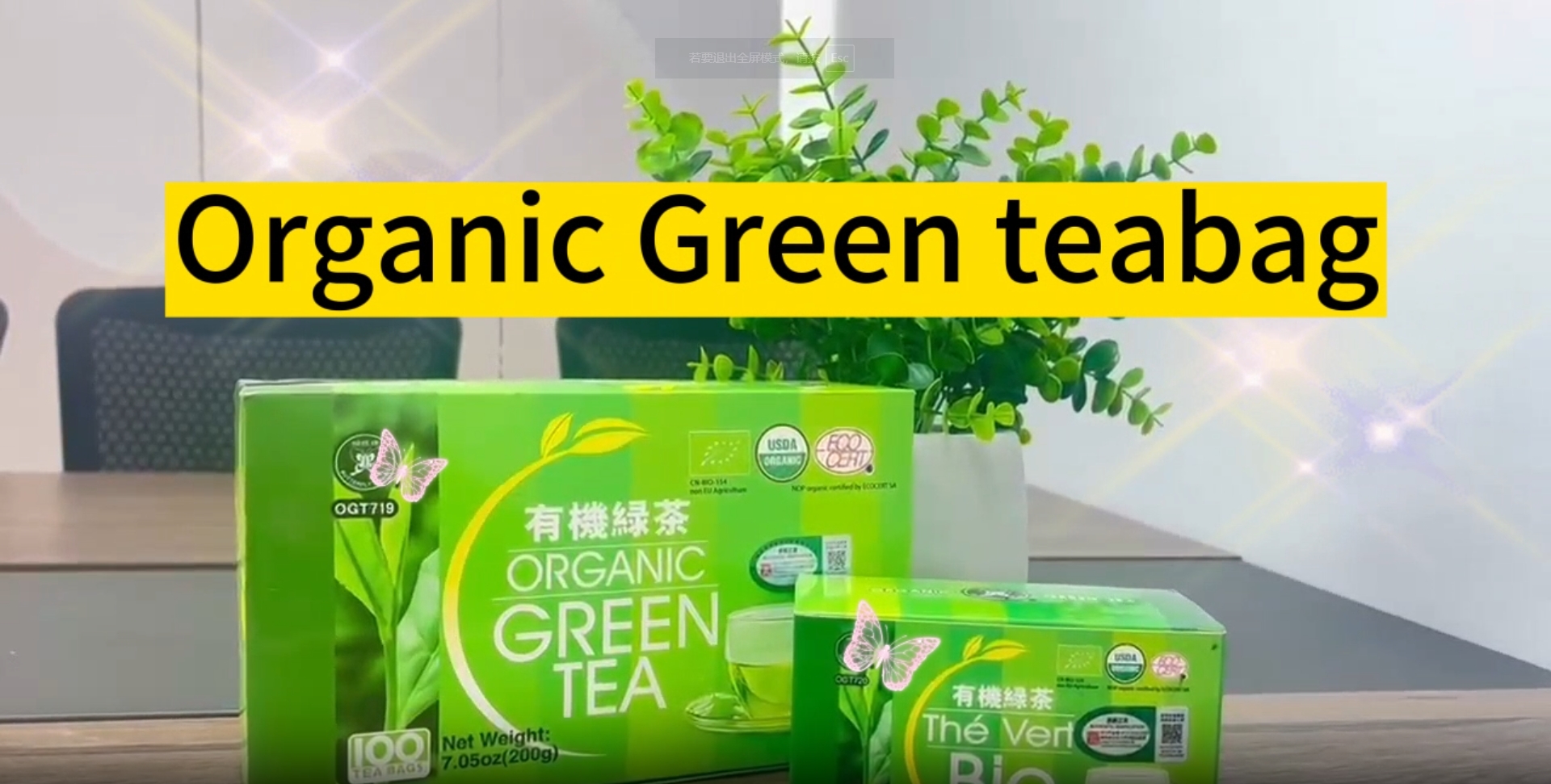 251: Organic Green Tea teabag