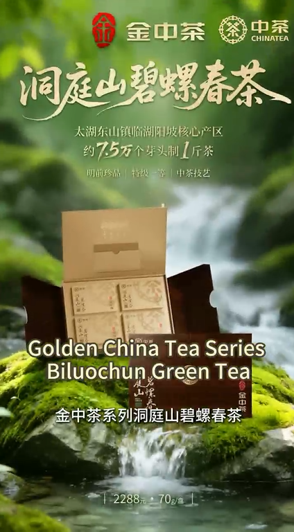 457: Golden China Tea Series Biluochun Green Tea