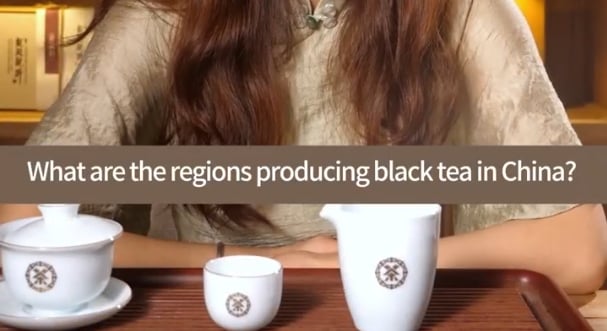 207: Diversity of Congou black tea(I)