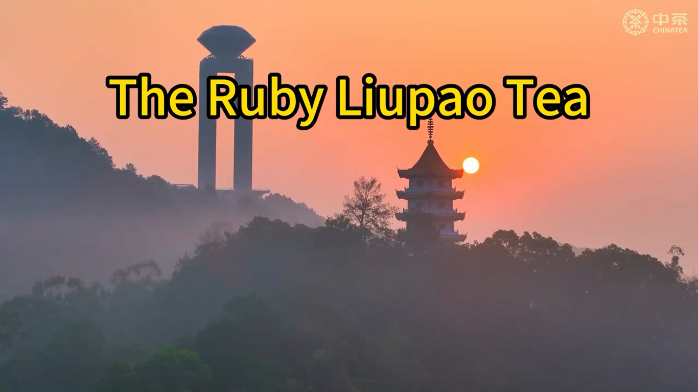 451: The Ruby Liupao Tea by China Tea(Wuzhou)