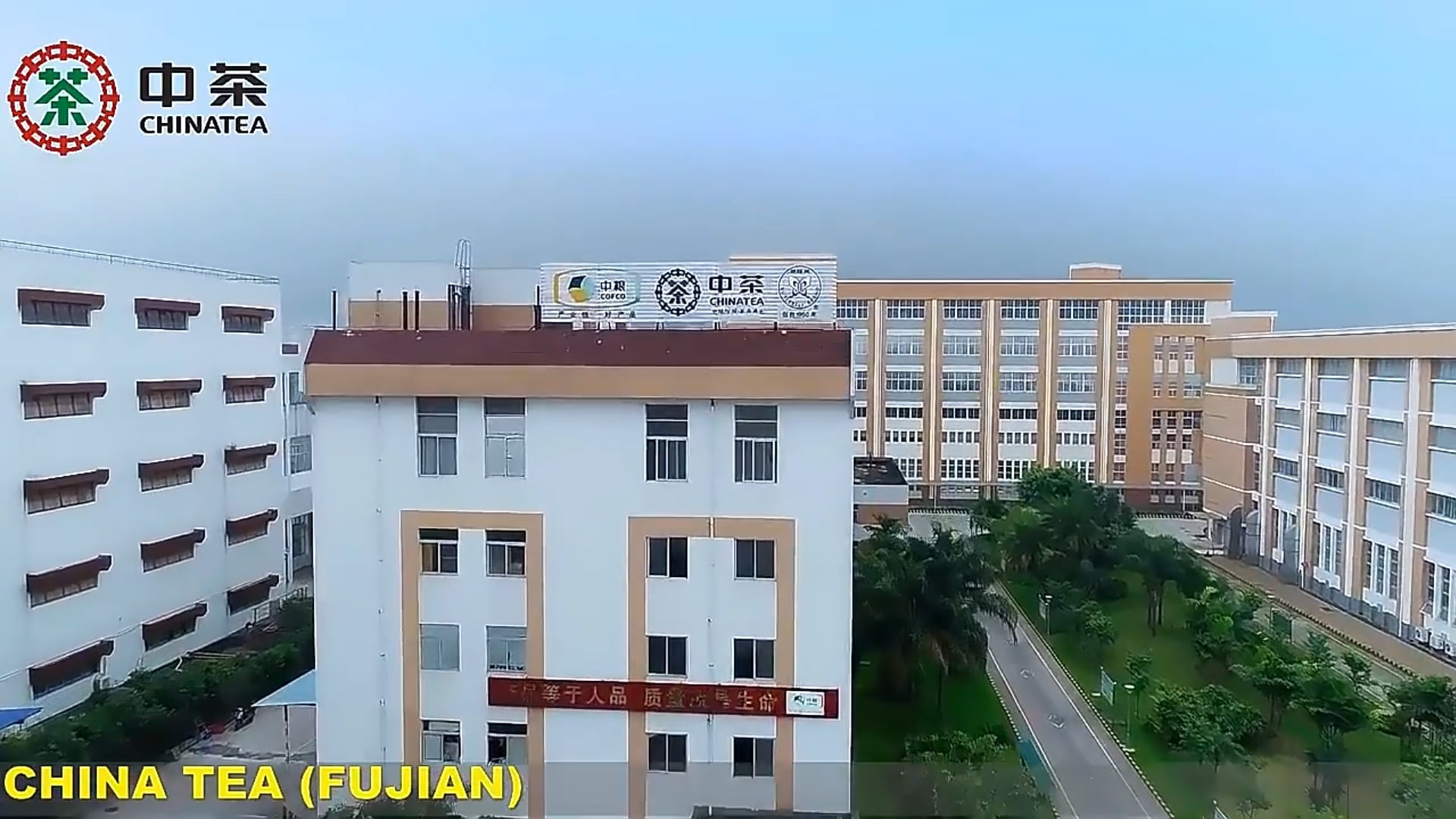 240: Fujian Tea Imp&Exp. Co. Ltd.