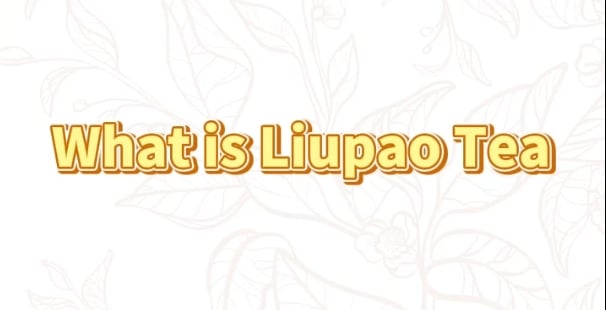 307: What is Liupao tea