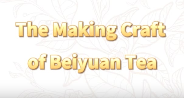306: The making craft of Beiyuan tea