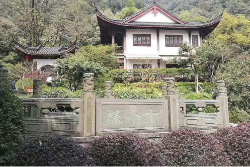 The sheer strength of Shifeng Longjing: Why is it the undisputed 'MVP' of green teas?
