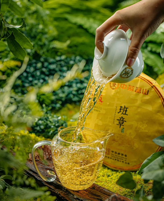 YN13 Banzhang Raw Puerh Tea Cake