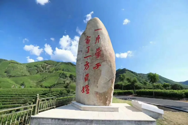 图片12.png