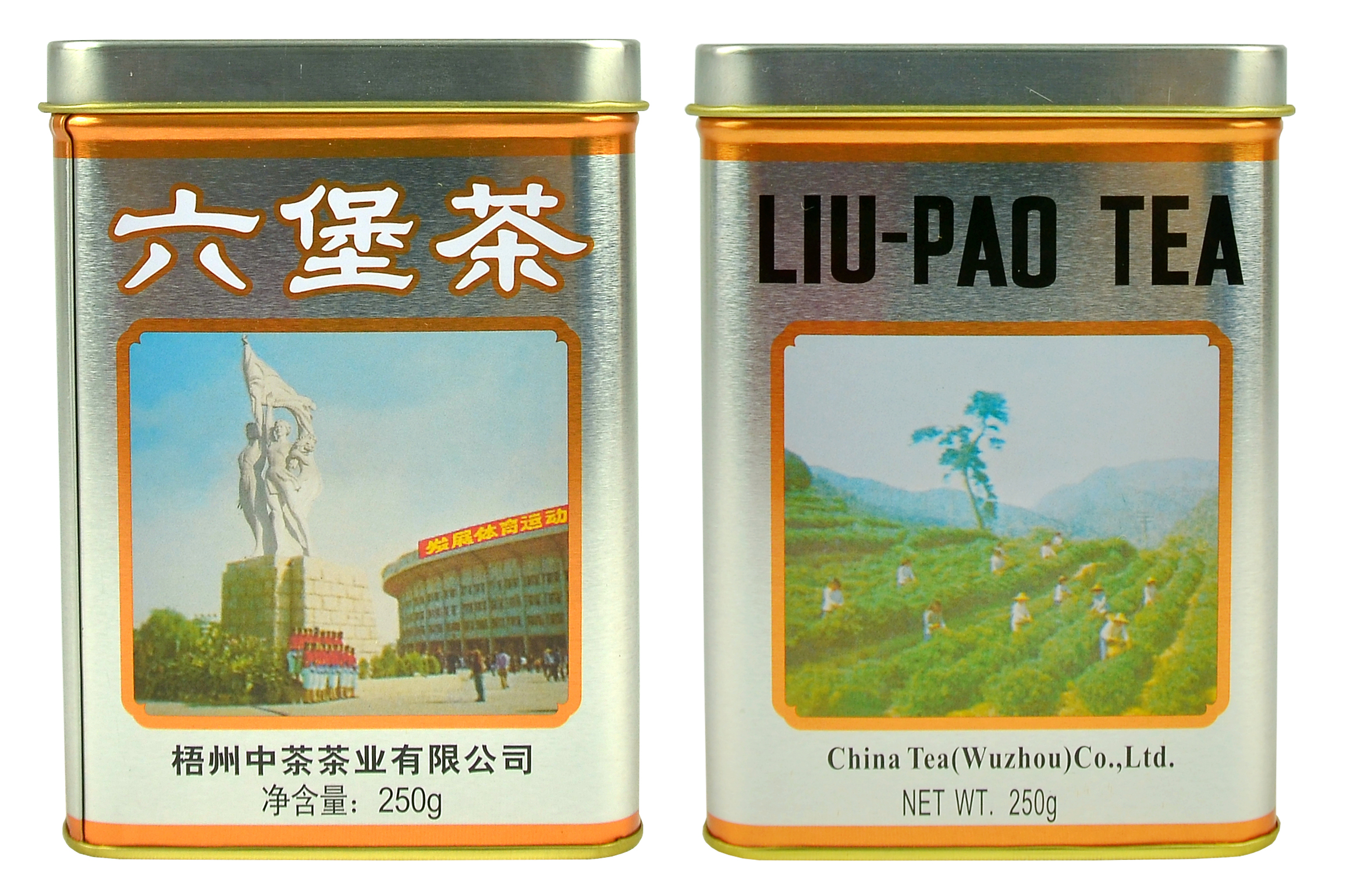 GX18 Gymnasium Series Liupao Tea