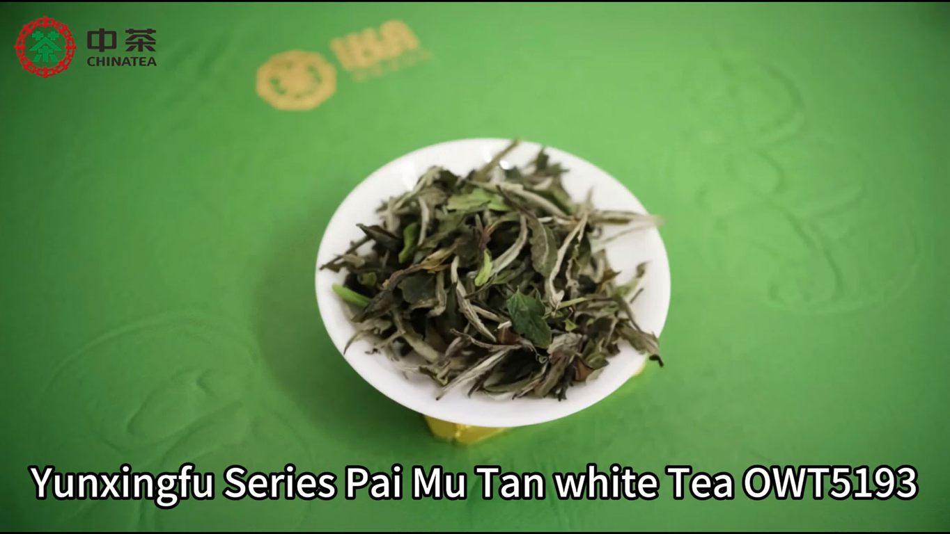 559: Yunxingfu Series White Peony White Tea OWT5193