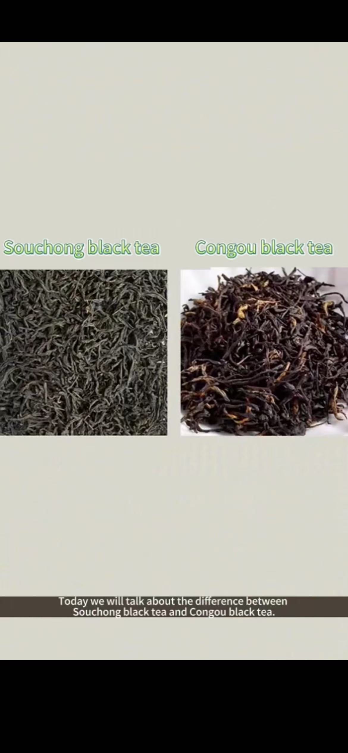 099:Differences of Lapsang Souchong and Congou