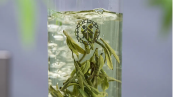 the pinnacle of business gifting golden china tea series green tea is now officially launched-4