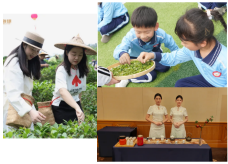 Bridging the World with Silk Road Tea Fragrance | 2026 International Tea Day Special Feature