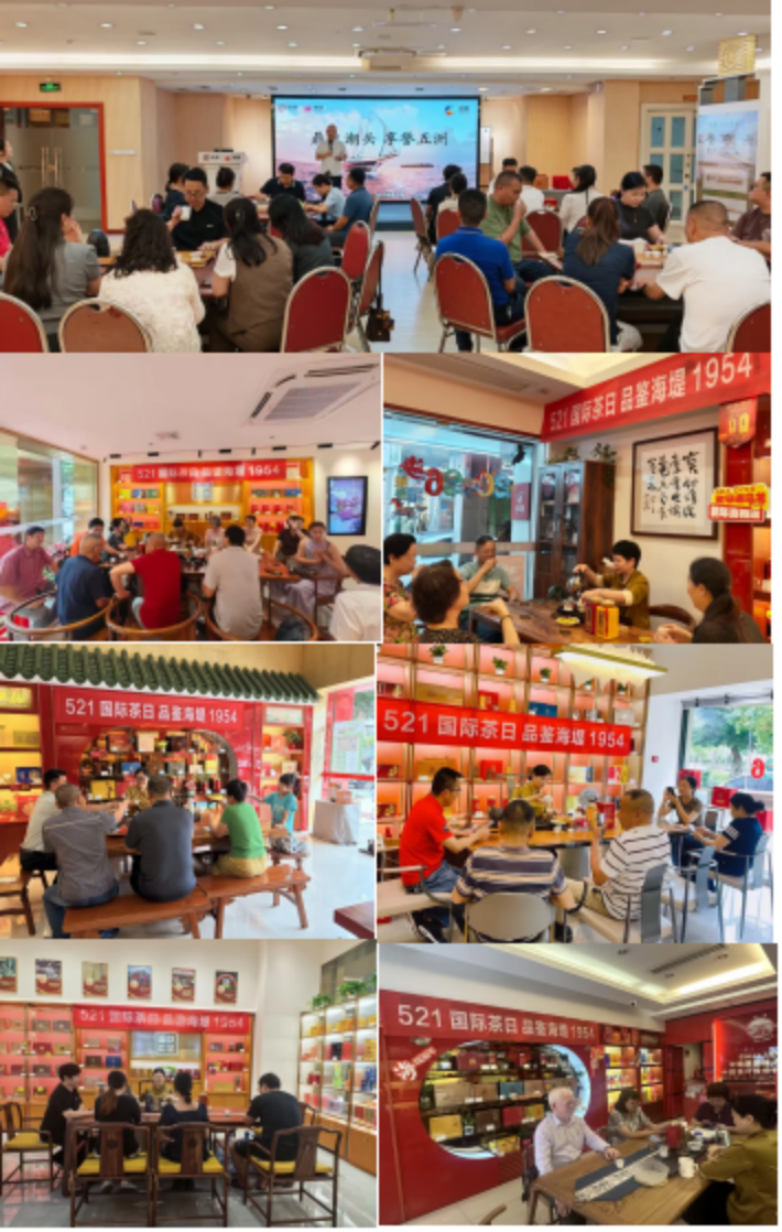 Bridging the World with Silk Road Tea Fragrance | 2026 International Tea Day Special Feature