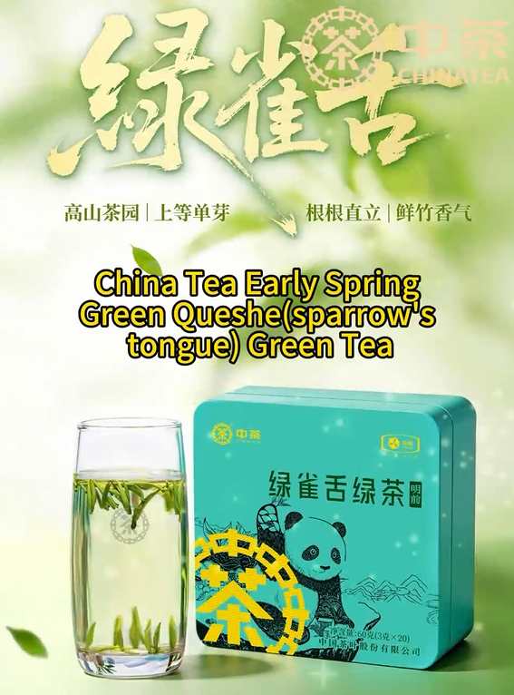 450:China Tea Early Spring Green Queshe(sparrow's tongue) Green Tea
