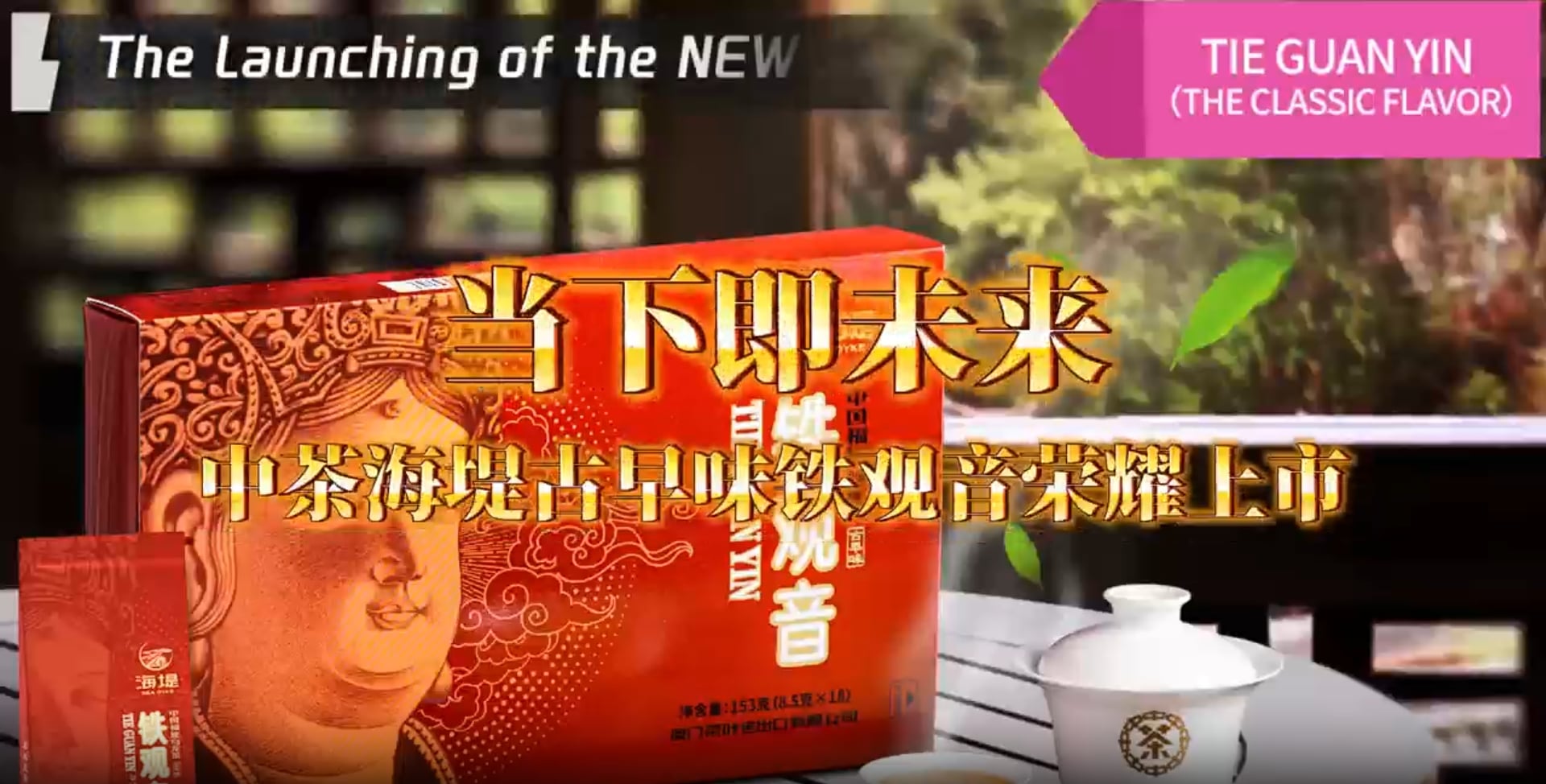 241: The launch of classic flavor Tieguanyin product