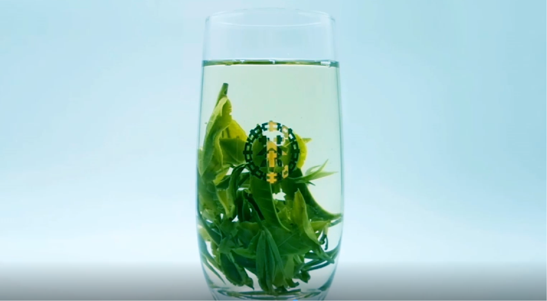 Chinese Tea Supplier & Manufacturer | OEM & Wholesale Tea – China Tea Co., Ltd.(Since 1949)