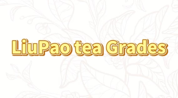 298: Grading of Liupao Tea