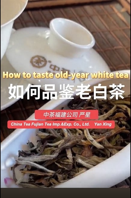 189: How to taste aged White Tea