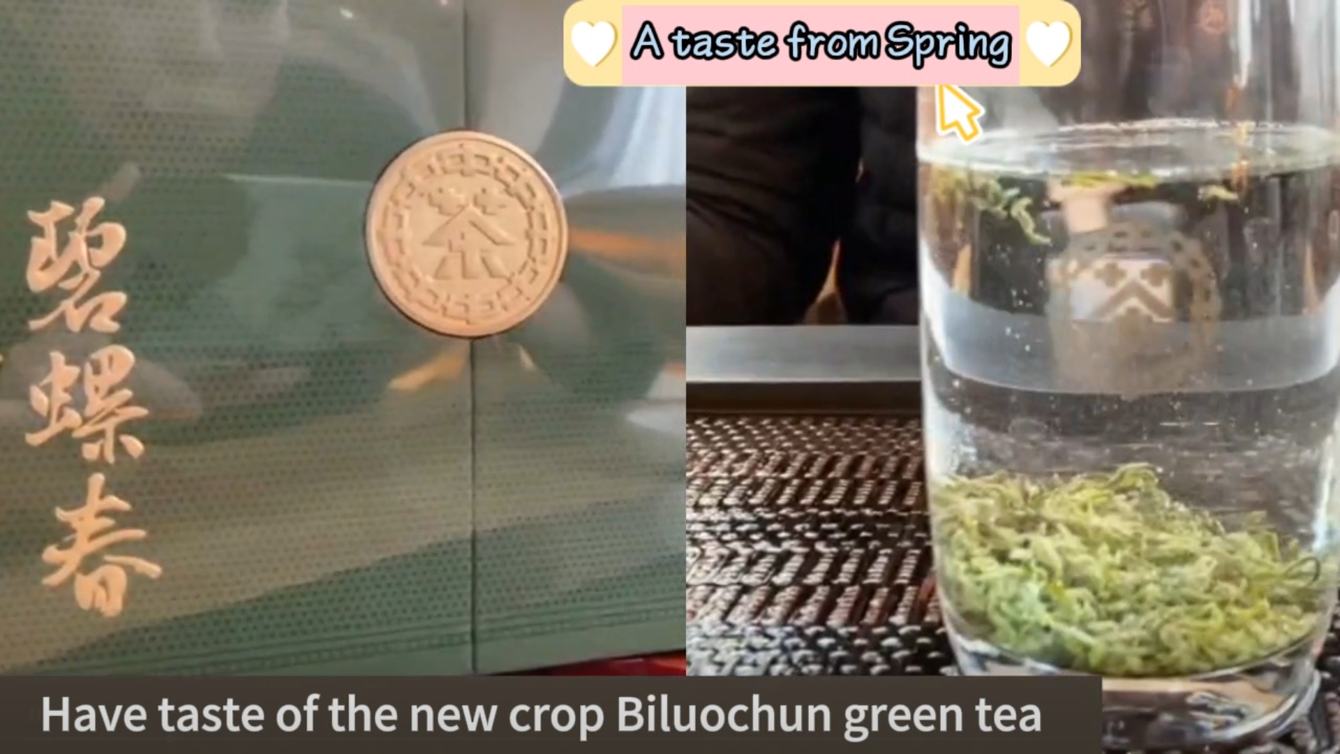 246:New crop Biluochun Green Tea