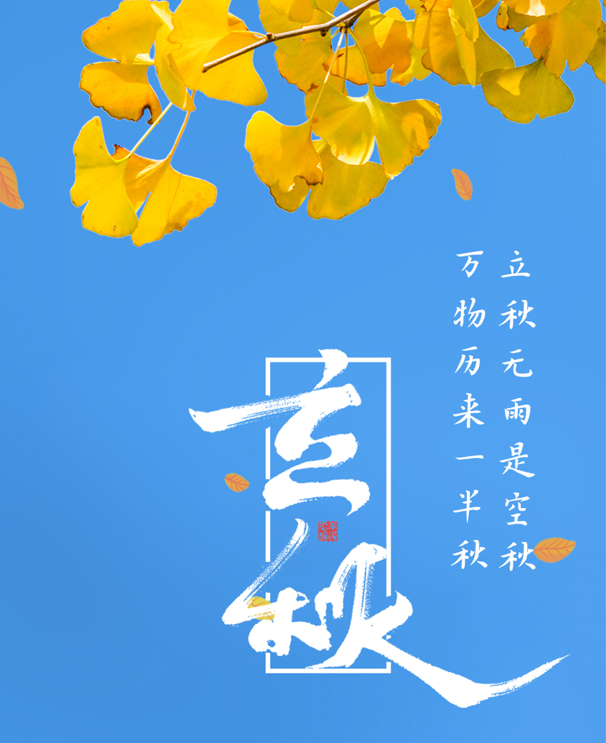 立秋主图.jpg