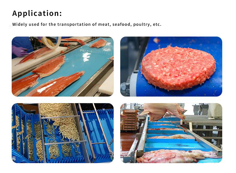 Application of Food Grade Conveyor Belts.jpg