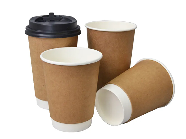 Manufacturing Process of Disposable Paper Cups