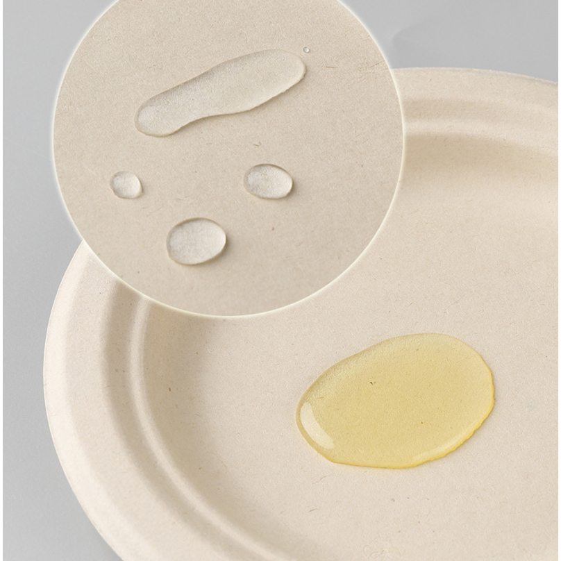 Sugarcane Disposable Plates factory