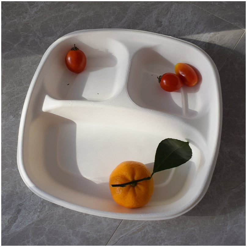 bagasse container场景图 (591).jpg