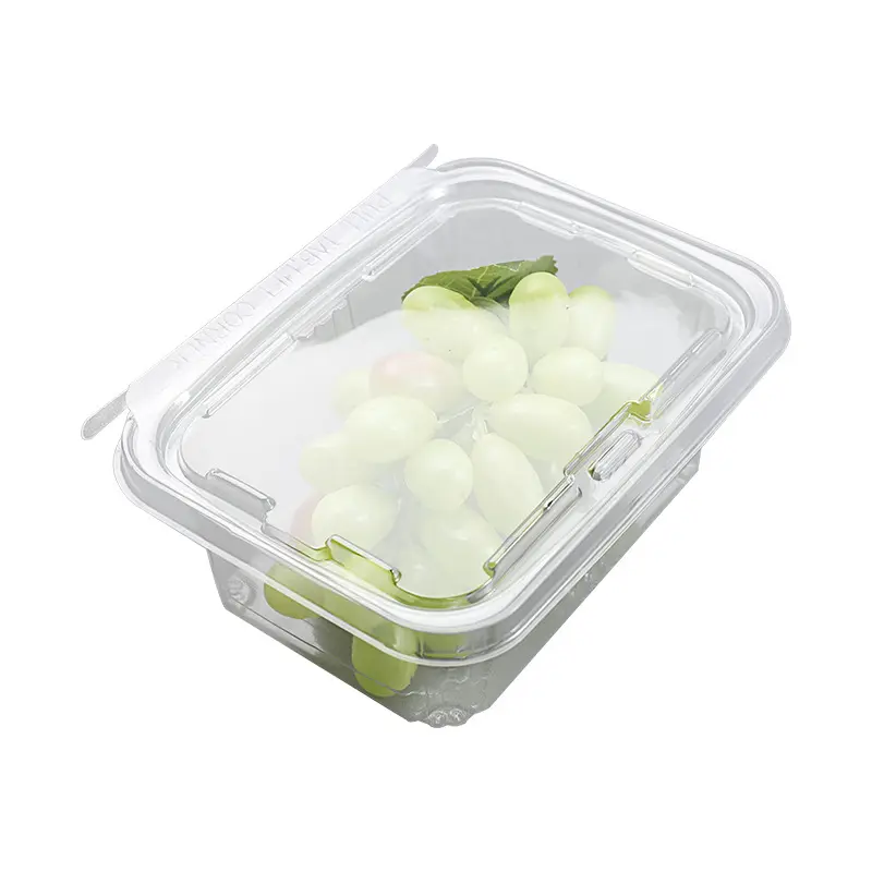 Our Large Plastic Containers – Spacious, Durable for Storage Needs