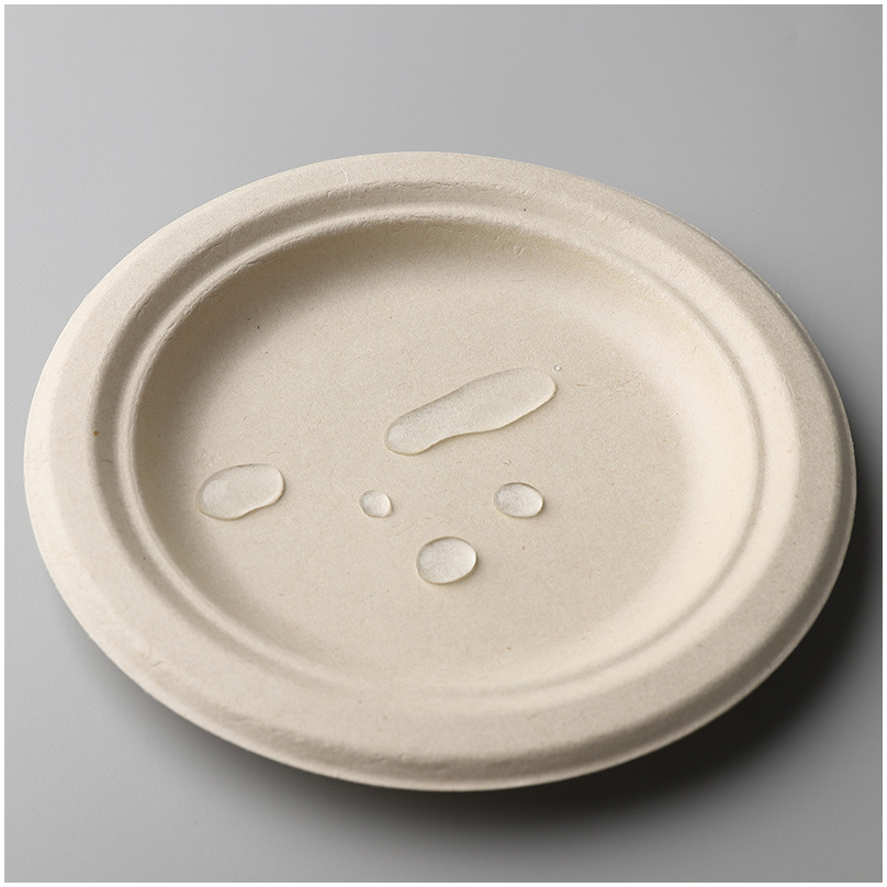 Sugarcane Disposable Plates manufacture