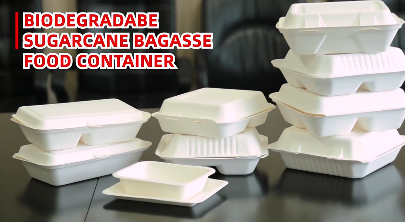 disposable sugarcane bagasse food container