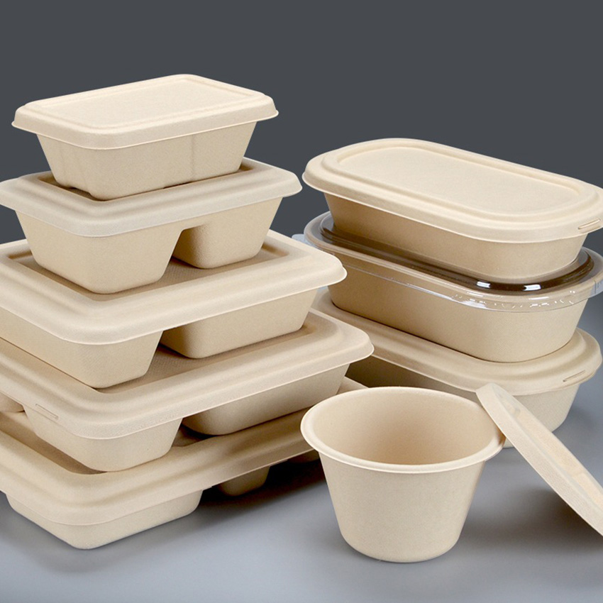 What Is Bagasse Packaging? Benefits, Certifications & Why It's Better Than Plastic