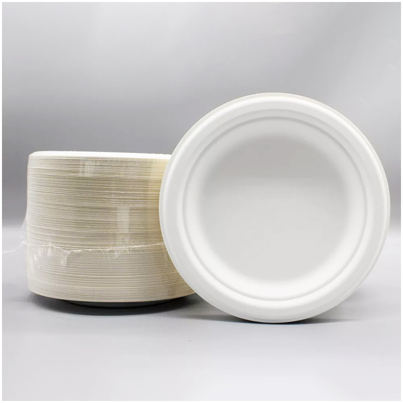 Sugarcane Disposable Plates details