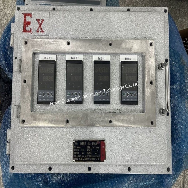 Explosion proof cabinet (4).jpg