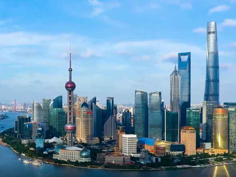à propos de Shaghai Xunznhong Induxtry Co.,LTD