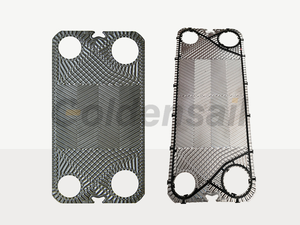botai plate and gasket.jpg