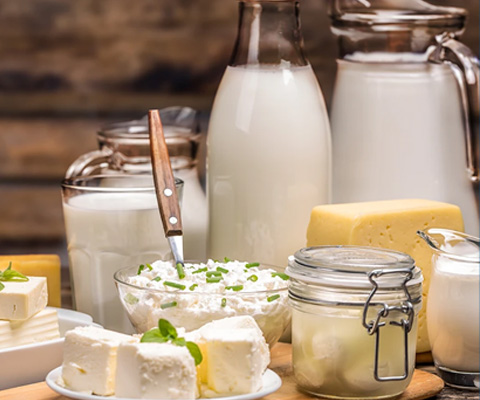 Dairy