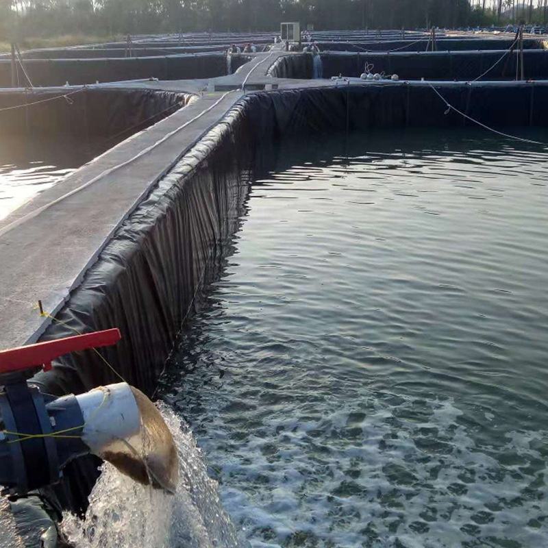 HDPE Geomembrane: The Ultimate Seepage Control Solution for Large-Scale Aquaculture