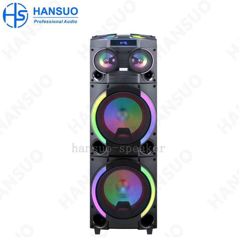 Kilang Jenama HANSUO Kuasa 100W Ganda Woofer 12 Inci dan Satu Tweeter Pembesar Suara Pelbagai Fungsi HS-TD12P8