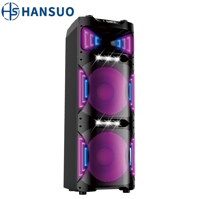 Sistem Bunyi DJ Mudah Alih Pegangan 5.5-Inci Terus Dari Kilang HS-TD12T8 dengan Boombox LED
