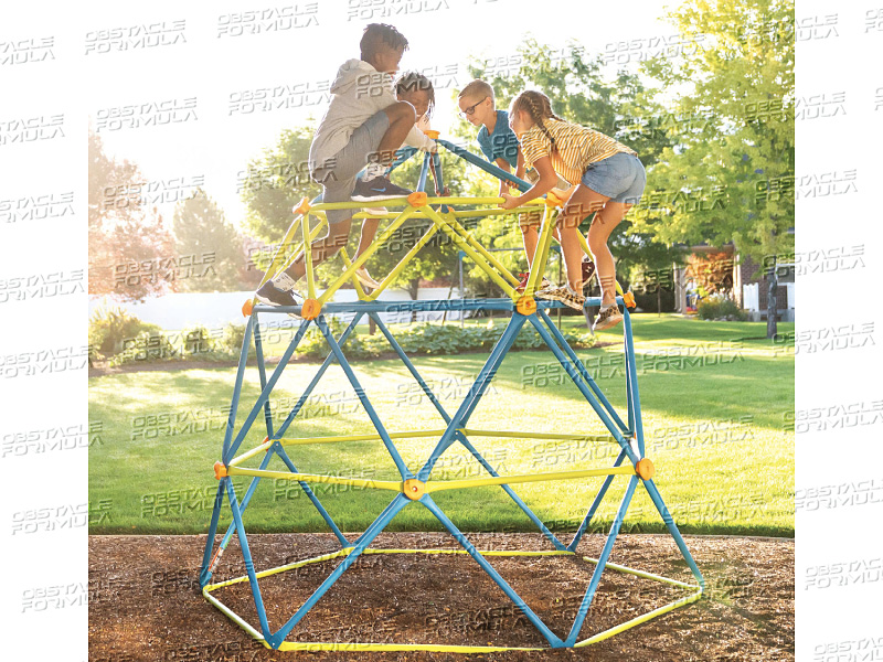 Lifetime Backyard Climbing Tower/Backyard Dome Climber/ Outdoor Kids Climbing Tower manufacture