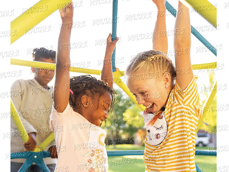 Lifetime Backyard Climbing Tower/Backyard Dome Climber/ Outdoor Kids Climbing Tower supplier