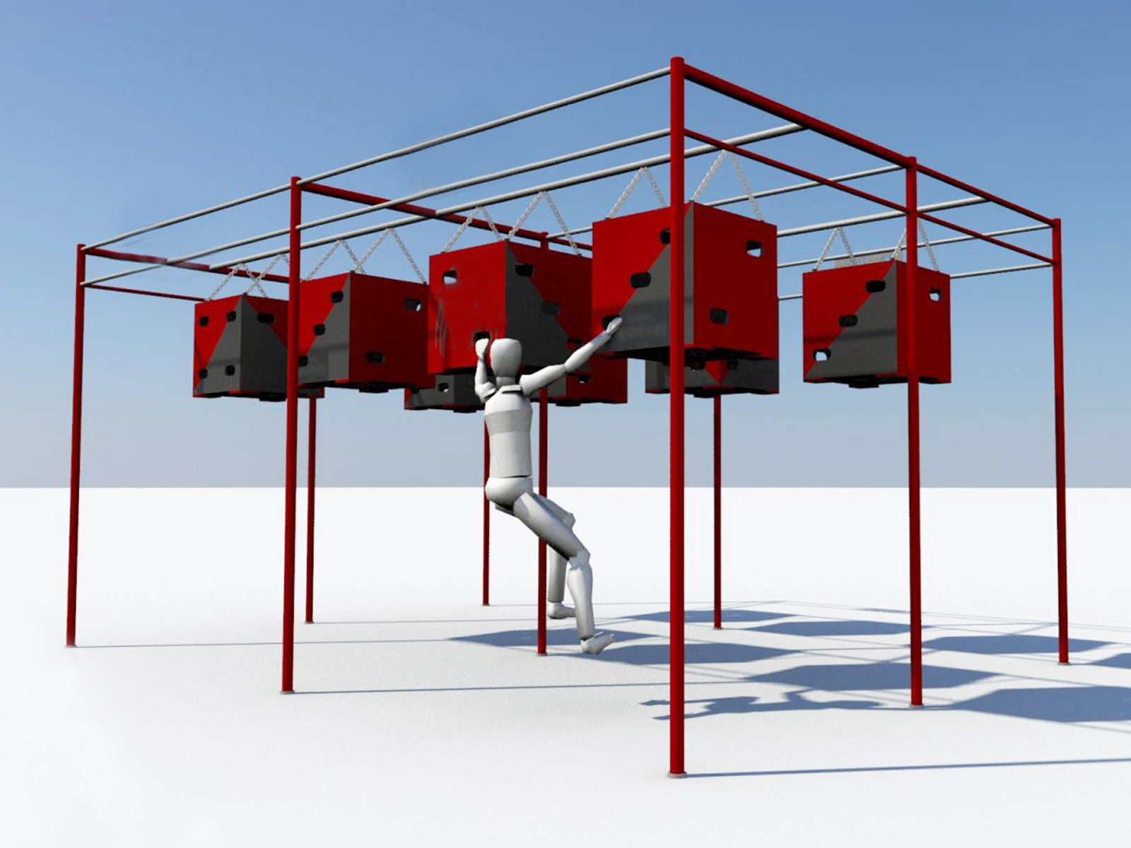 OCR ninja warriors running obstacle Dice details