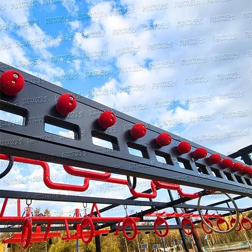 BOARD WITH HOLES AND HALFBALLS – OCR OBSTACLE supplier