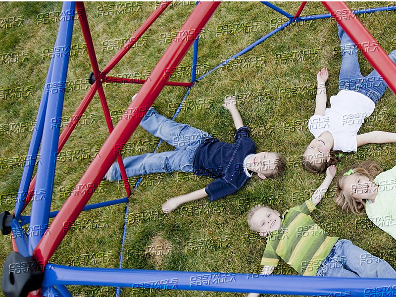 The Lifetime 60″ Geo Dome Climber Dome Climber Play Center Geometric Dome Climber manufacture
