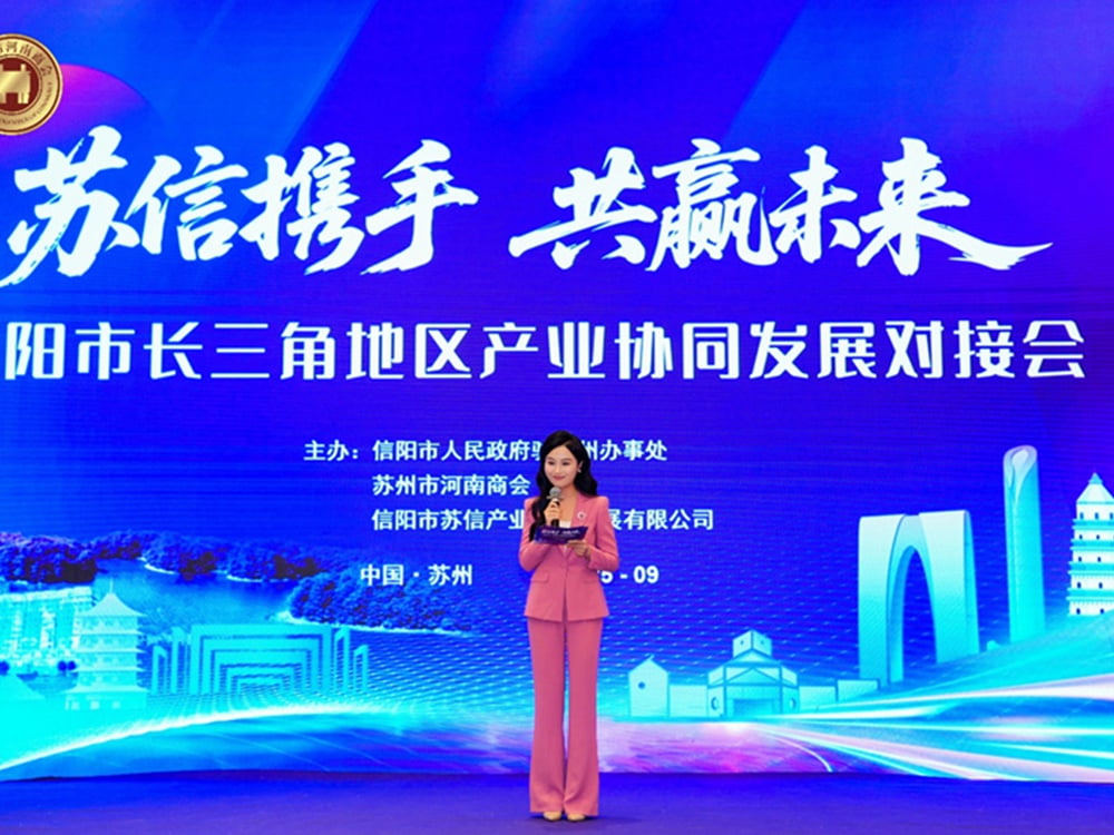 SEPPES Chairman Yang Yuanjia Shares Strategic Insights on Regional Industrial Collaboration at Yangtze River Delta Summit