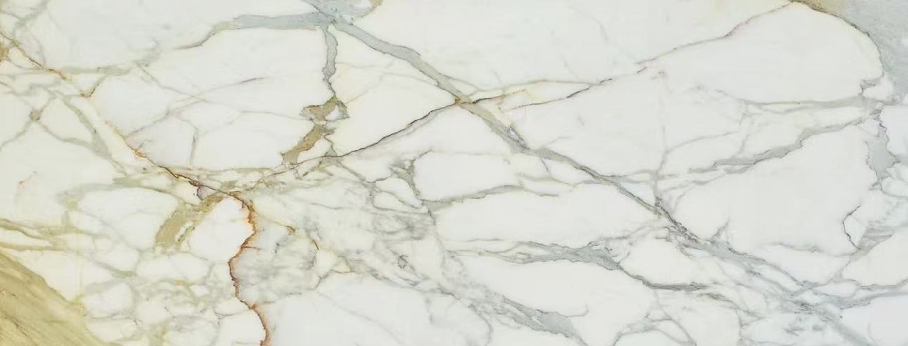 Calacatta Gold Marble slab with pure white base and warm golden veining