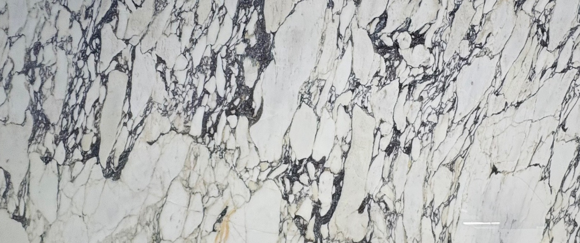 Turkish Calacatta Viola Marble slab with white base and purple red veining