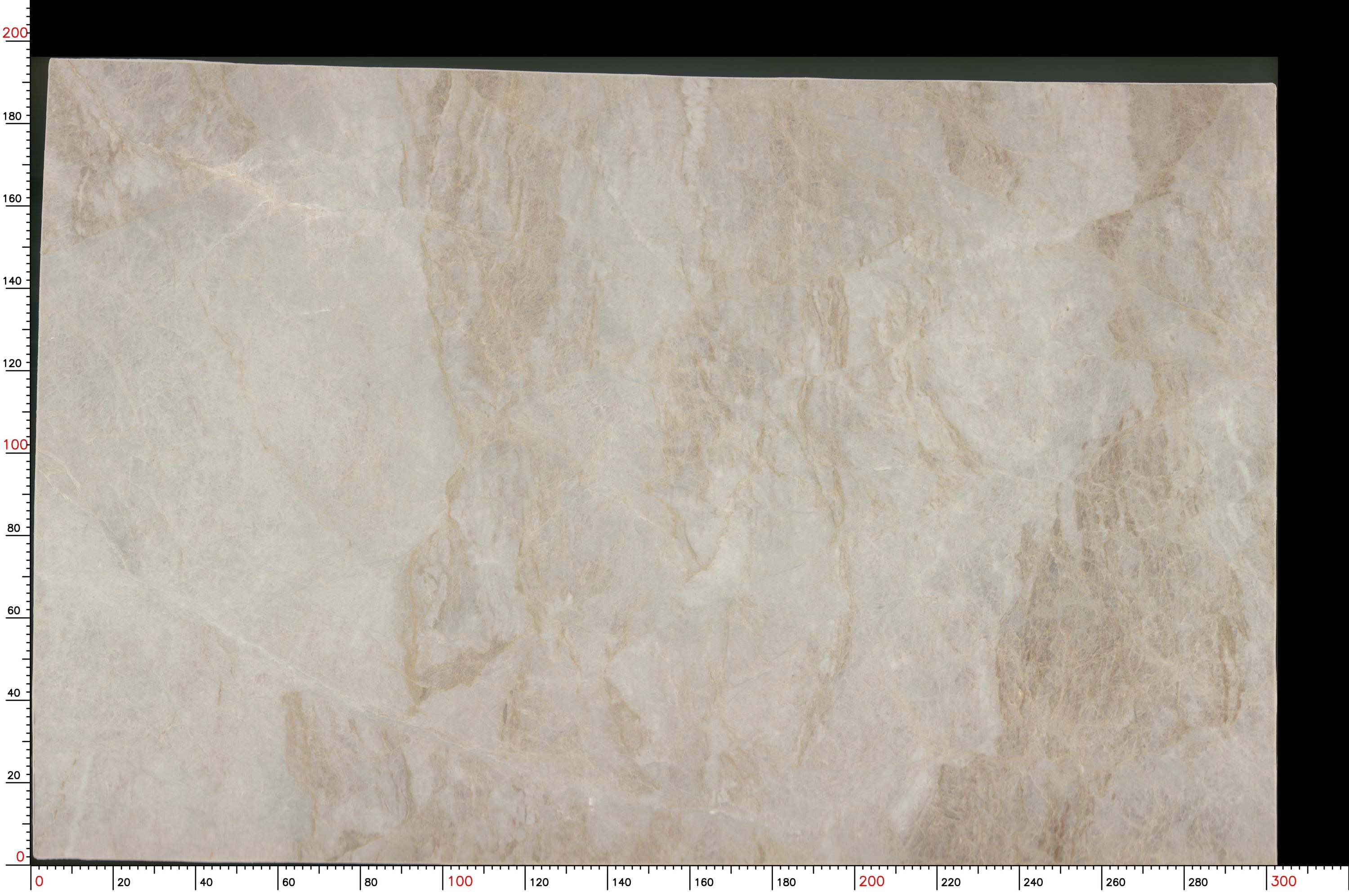 Taj Mahal Quartzite slab close-up with creamy white tone and soft veining